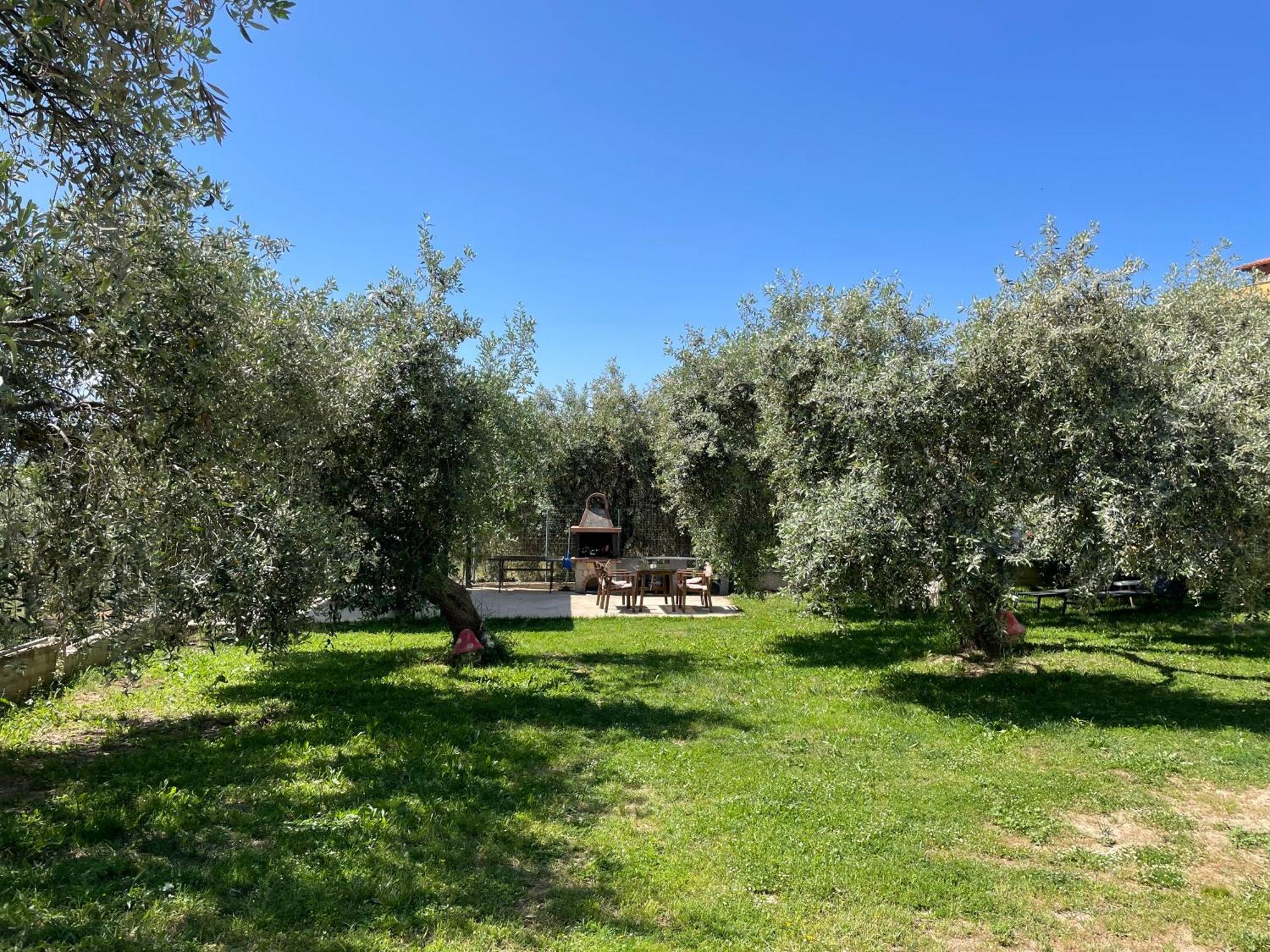 Villa Discovery Limenaria (Thasos)